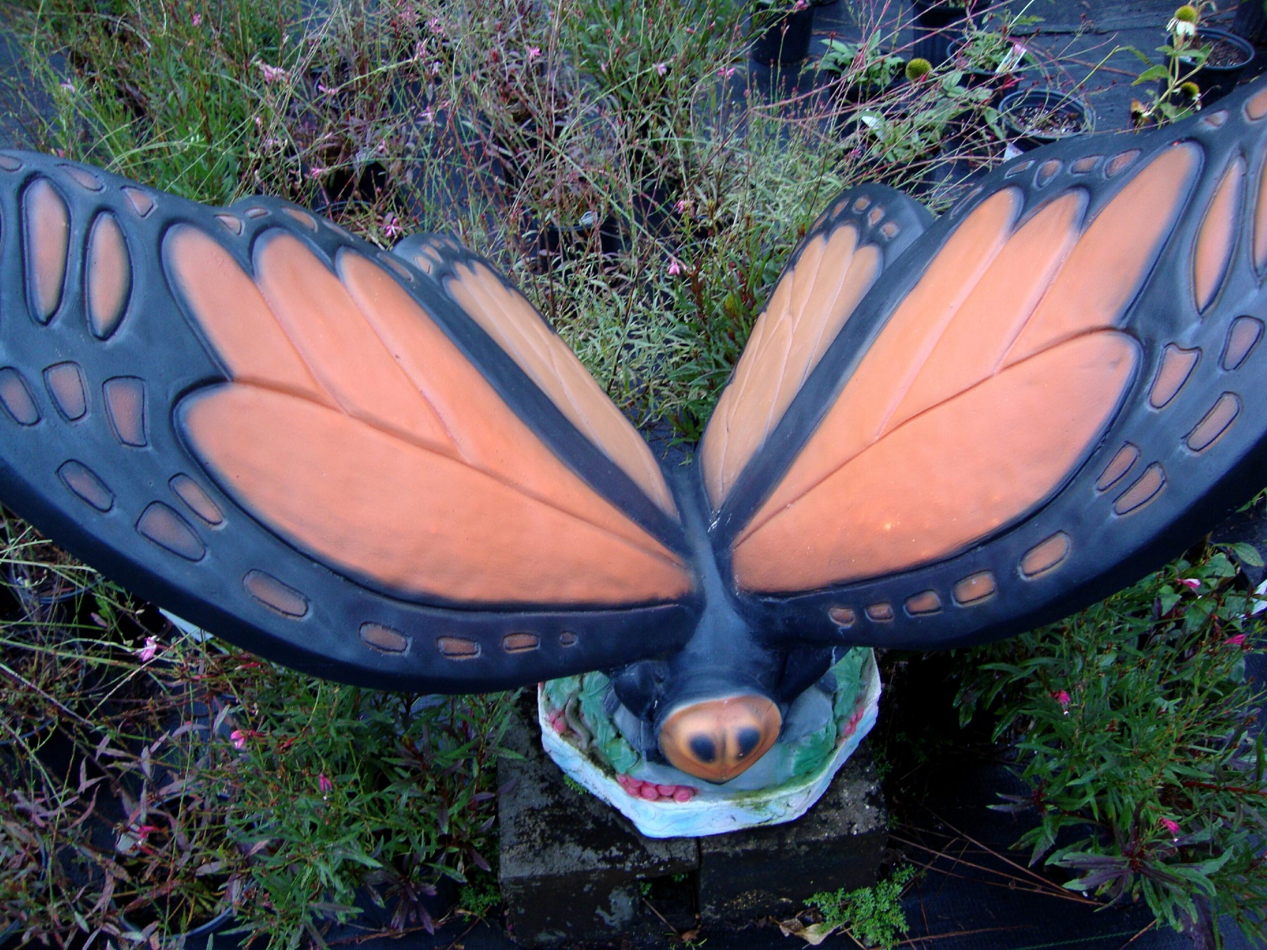 Butterfly Statue